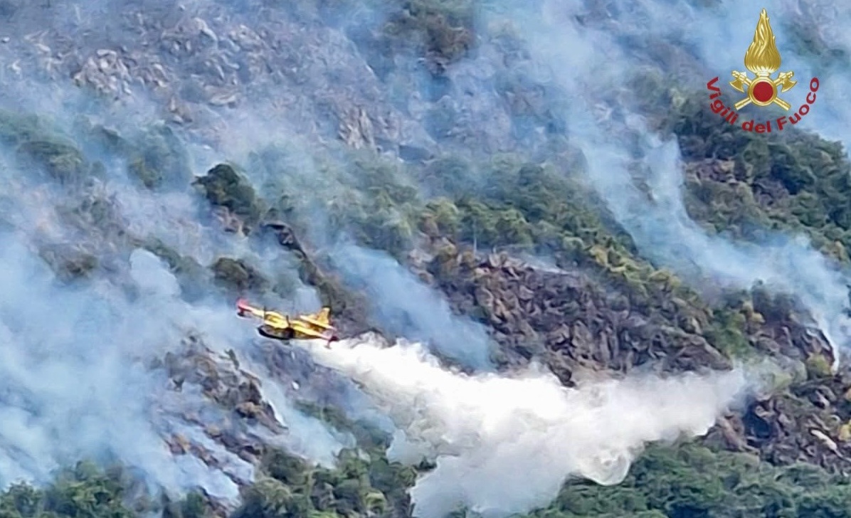Incendi in Piemonte, l’allarme della Regione: “È catastrofe ecologica” Incendi in Piemonte, l’allarme della Regione: “È catastrofe ecologica”