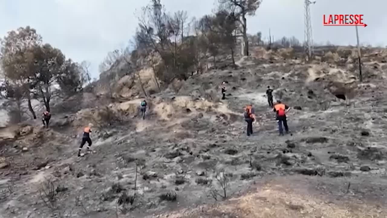 spagna l8217andalusia devastata dall8217incendio soccorsi al lavoro sui terreni bruciati da Lapresse.it spagna l8217andalusia devastata dall8217incendio soccorsi al lavoro sui terreni bruciati