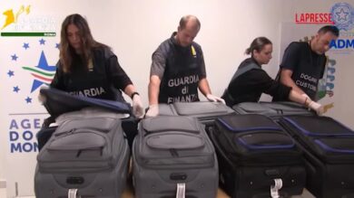 Fiumicino, sequestrati 216 kg di khat nei bagagli di un passeggero da Tel Aviv
