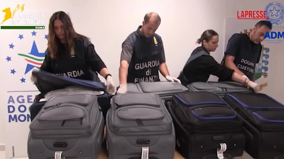 Fiumicino, sequestrati 216 kg di khat nei bagagli di un passeggero da Tel Aviv