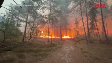 Francia, incendio nella foresta di Fontainebleau: 800 ettari bruciati