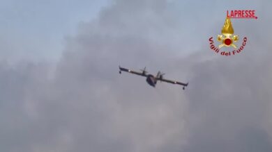 Incendio in Sardegna, a fuoco la pineta ad Aglientu: continua il lavoro dei vigili del fuoco