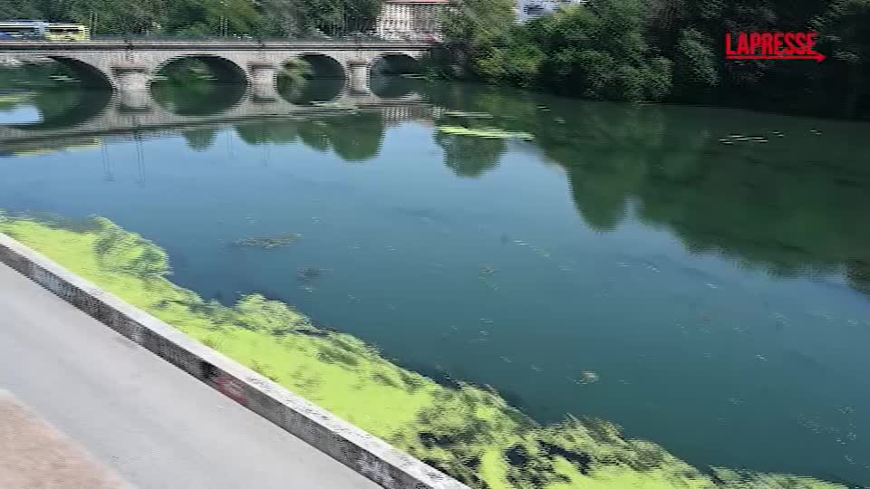 torino il po invaso dalla vegetazione al via la rimozione delle piante dal fiume da Lapresse.it torino il po invaso dalla vegetazione al via la rimozione delle piante dal fiume