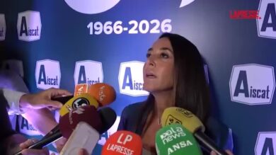 Legge elettorale, Ronzulli: “Tacchino a Natale non va da solo a tavola, la preferenza può spaventare "