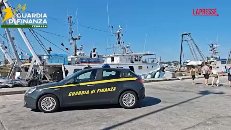 Vongole illegali dal Portogallo, sequestrate oltre 15 tonnellate nel Ferrarese