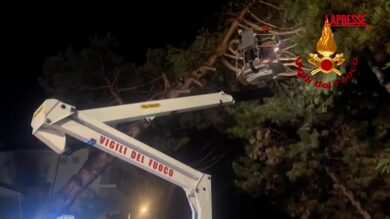 Maltempo in Emilia Romagna, a Forlì alberi abbattuti da raffiche di vento e pioggia