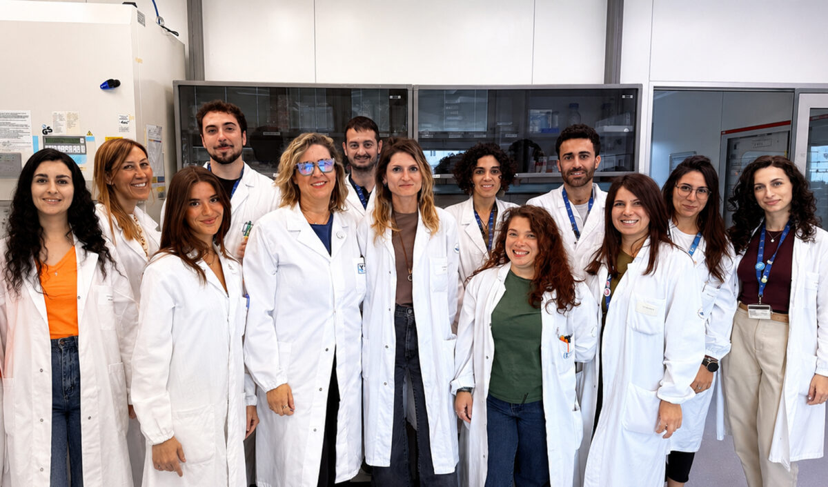 Tumore, ecco le nuove cellule natural killer ingegnerizzate per batterlo Tumore, ecco le nuove cellule natural killer ingegnerizzate per batterlo