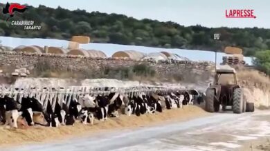 Taranto, caporalato e disastro ambientale: due arresti e sequestri per oltre un mln