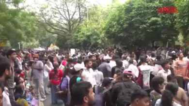 India, in migliaia da movimento 'Cockroach' per marcia verso Parlamento: tensioni con la polizia