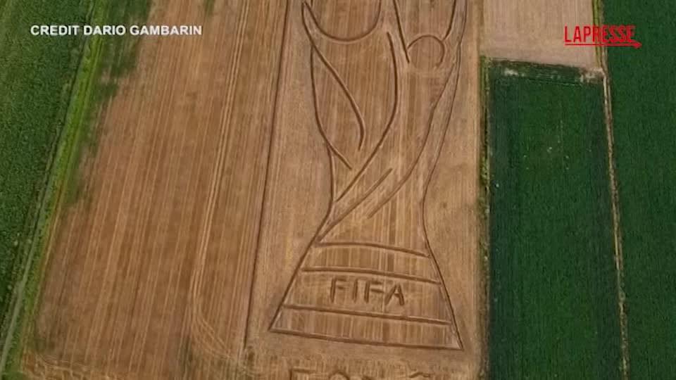 mondiali 2026 la nuova opera di gambarin con un trattore disegna la coppa del mondo da Lapresse.it mondiali 2026 la nuova opera di gambarin con un trattore disegna la coppa del mondo