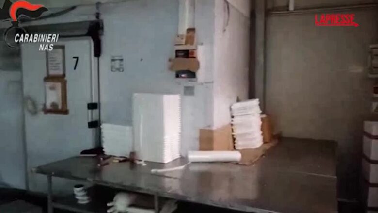 Controlli NAS sul pet food: sequestri per 1,7 milioni