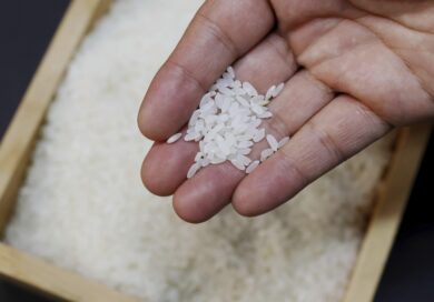 Riso richiamato per insetticidi oltre i limiti: le marche e i lotti interessati