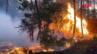 Francia, incendi a Cap-Ferret: evacuati diversi villaggi