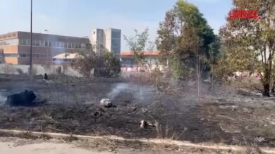Roma, incendio in zona Laurentina: le fiamme lambiscono la Motorizzazione