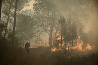 Francia, nella Gironda gli incendi bruciano 42mila ettari: 220mila le persone sfollate