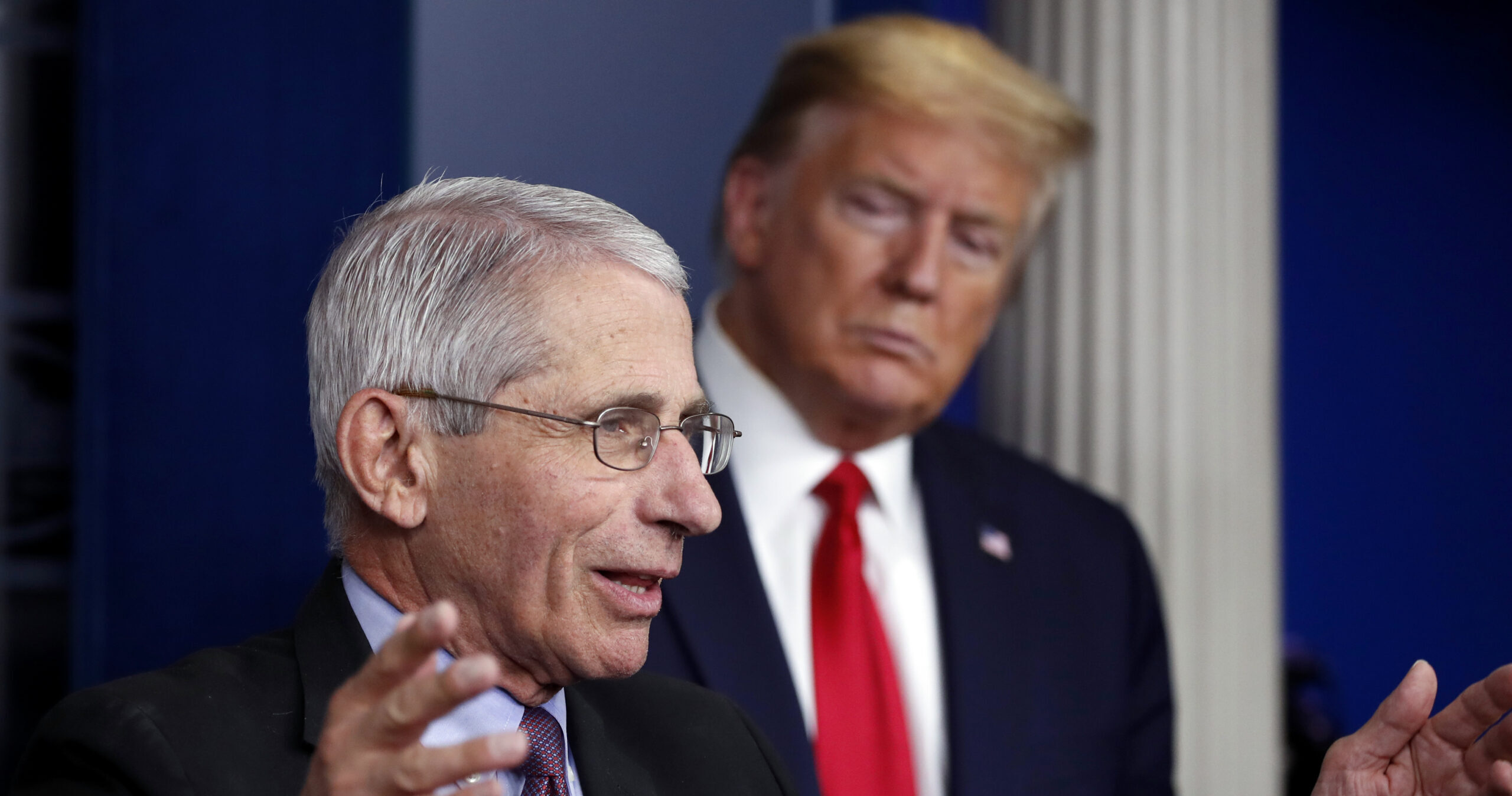 Trump torna ad attaccare Fauci sul Covid: “Sue idee folli”. L’immunologo invoca il 5° emendamento per non rispondere su gestione pandemia