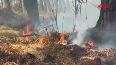 Incendi Francia, anche la popolazione locale si attiva per spegnere le fiamme nella regione di Bordeaux