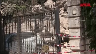 Terremoto Napoli, a Pozzuoli continua a franare il costone: strade chiuse e edifici transennati