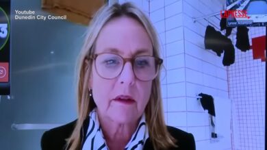 Nuova Zelanda, la consigliera comunale si collega dal bagno: imbarazzo in sala