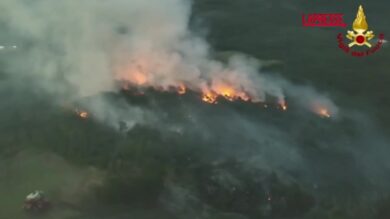 Emilia Romagna, incendio nei boschi di Vedriano: le immagini del drone