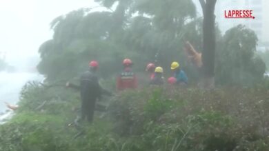 Cina, il tifone Dolphin su Yueqing con venti a 180 km/orari: centinaia di alberi abbattuti