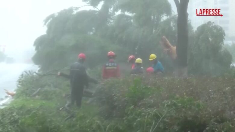 Cina, il tifone Dolphin su Yueqing con venti a 180 km/orari: centinaia di alberi abbattuti