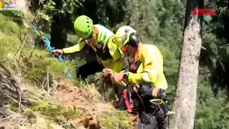 Montagna, Gdf salva un cane che era precipitato da un salto di roccia col padrone: il video dell'operazione