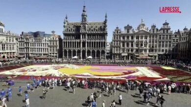Bruxelles, la "Grande Onda" di Hokusai diventa un tappeto di fiori
