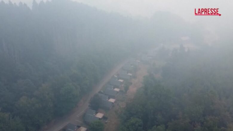 Maxi incendio in Belgio, civili aiutano i vigili del fuoco per cercare di spegnere le fiamme