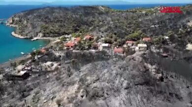 Incendi in Grecia, il surreale paesaggio sull'isola di Salamina: case distrutte e foreste ridotte a scheletro