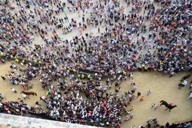 Palio di Siena, vince la contrada del Nicchio: per Tittia è la 13esima vittoria
