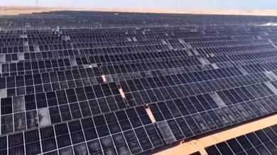 Tg Green 20 agosto – A luglio consumi elettrici da record