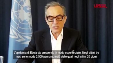 Ebola, l'allarme di un funzionario Onu in Congo: "Epidemia sta crescendo in modo esponenziale"