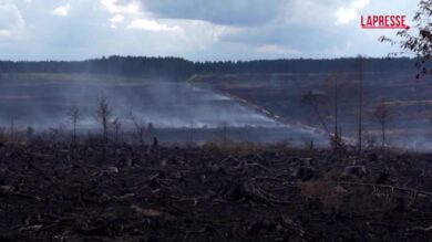 Belgio, gli incendi riportano alla luce mine e bombe della Seconda Guerra Mondiale