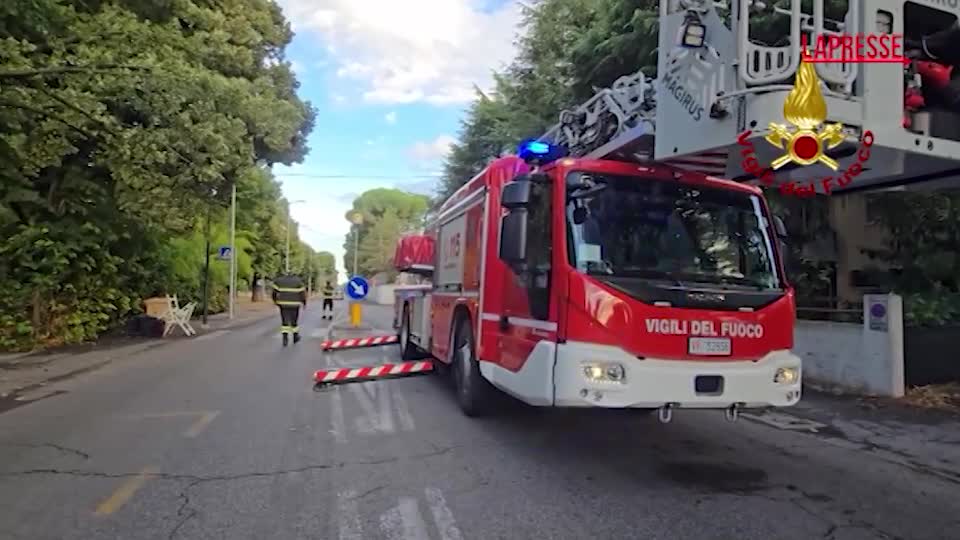maltempo alberi caduti frane e allagamenti vigili del fuoco al lavoro a forl236 da Lapresse.it maltempo alberi caduti frane e allagamenti vigili del fuoco al lavoro a forl236