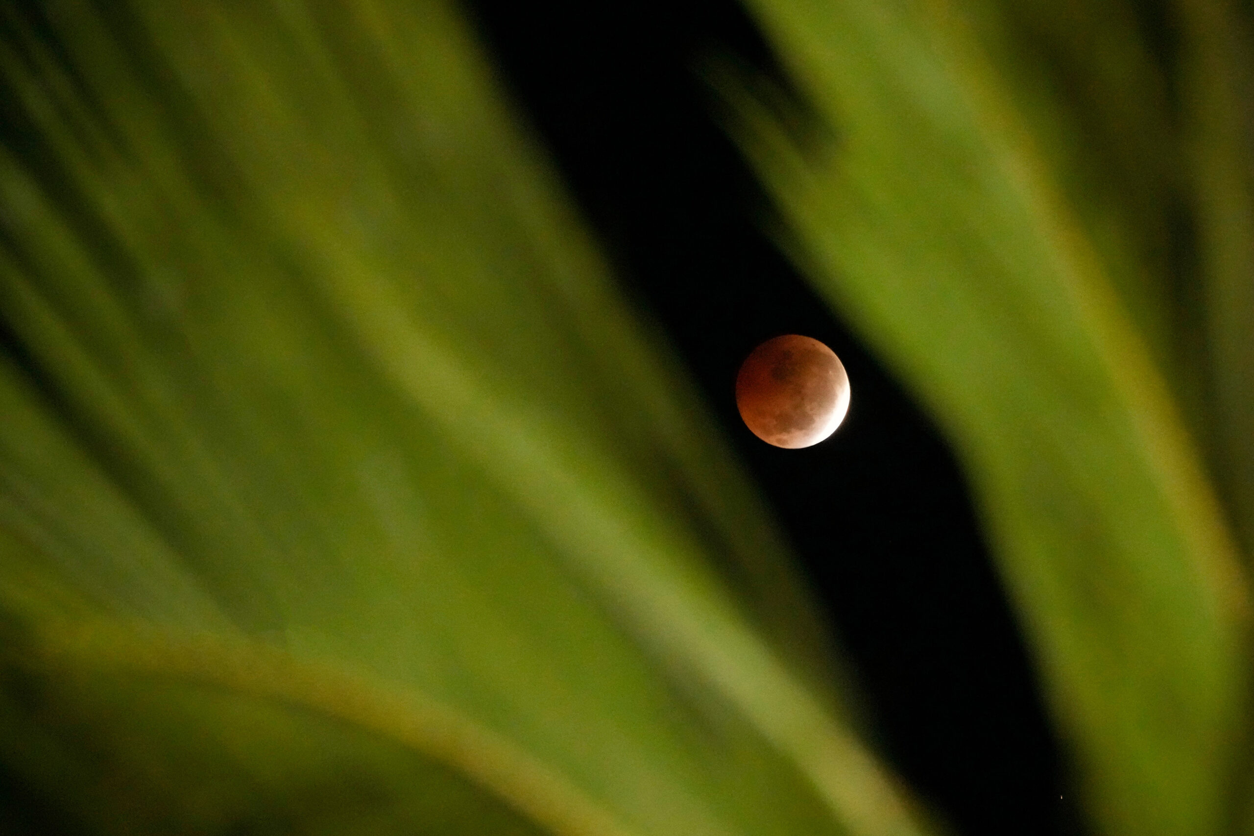 L’eclissi di Luna del 28 agosto 2026 – Le più belle foto dal mondo