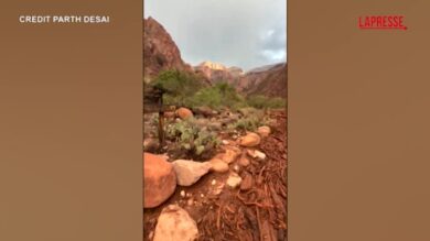 Usa, il Grand Canyon dopo l'improvvisa inondazione