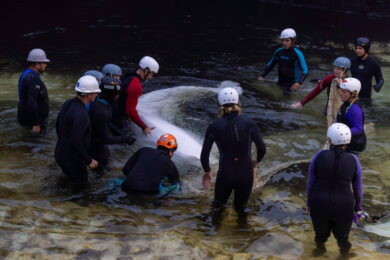 Canada: la beluga Tofino lascia Marineland (Carlos Osorio/The Canadian Press via AP)