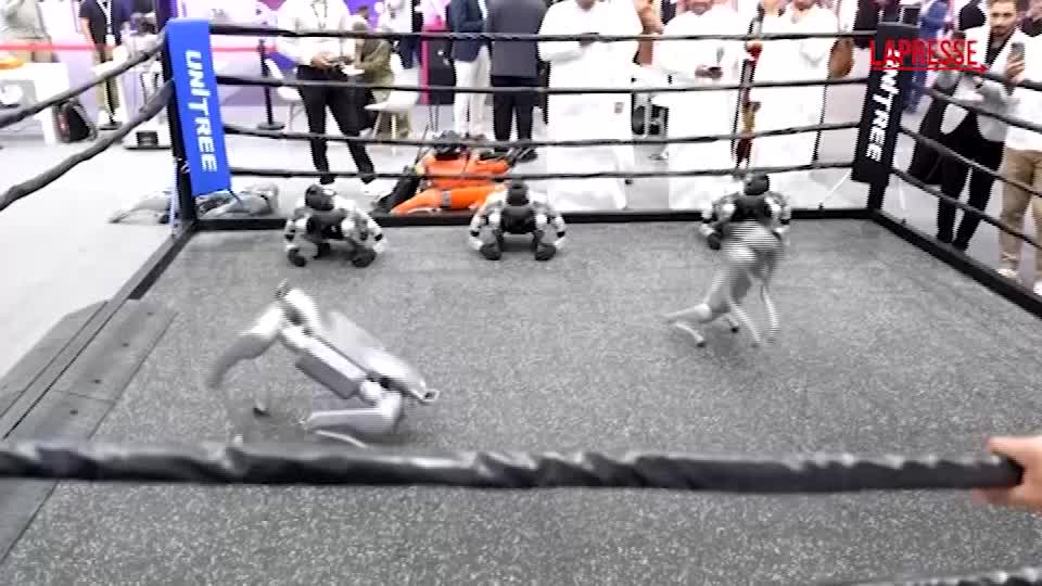 arabia saudita cani robot ed elicotteri senza pilota alla conferenza sulla tecnologia da Lapresse.it arabia saudita cani robot ed elicotteri senza pilota alla conferenza sulla tecnologia
