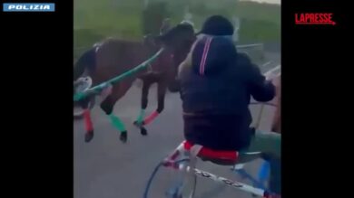 Catania, spari e kalashnikov in corsa clandestina di cavalli: arrestato