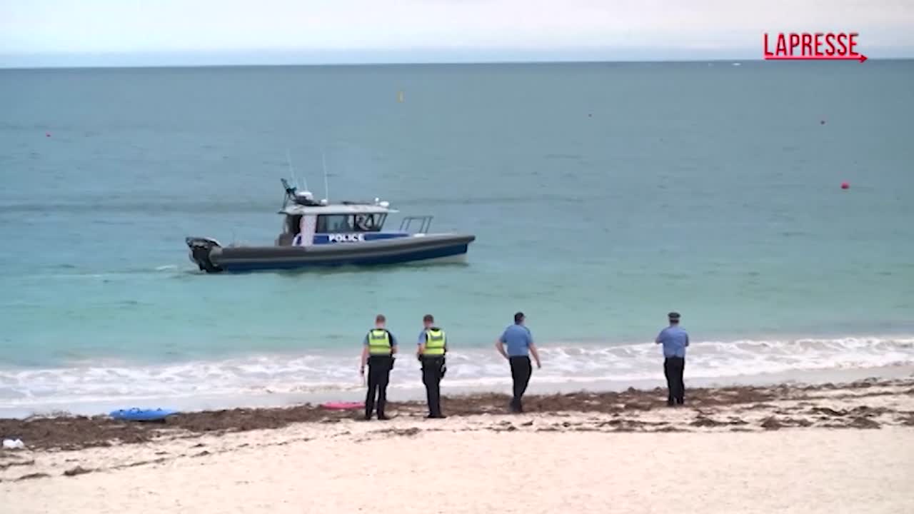 Australia: uomo ucciso da squalo al largo di Perth, le ricerche del corpo