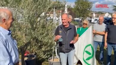 Pontida 2026: Calderoli e Leoni piantano ulivo vicino a pratone: "Questo simbolo è Bossi"