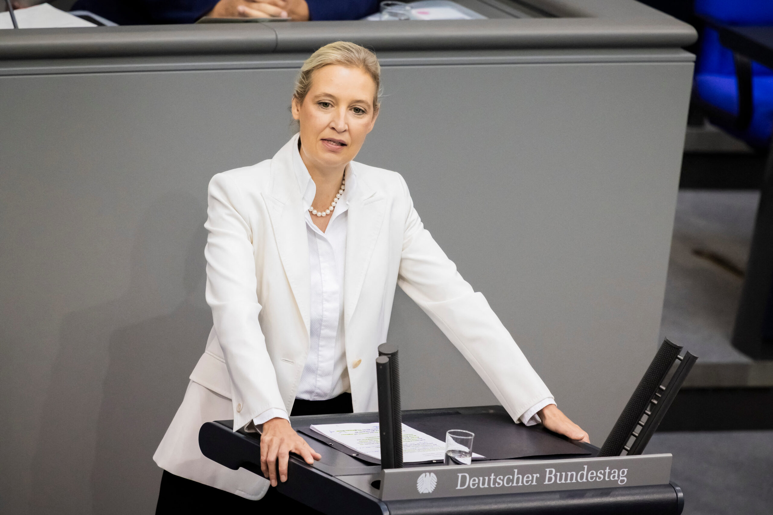 Elezioni in Germania, exit poll: AfD prima al 38% in Meclemburgo, a Berlino Link