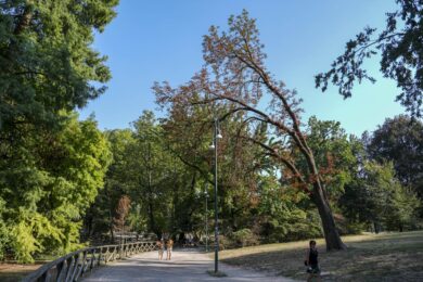 Zero Emission Day 2026, il WWF torna nelle piazze italiane con Urban nature