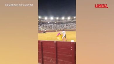 Spagna, toro salta la recinzione: paura alla Feria di Murcia 2026