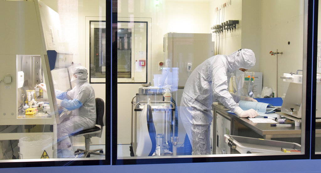 Car-T contro il tumore al fegato a 3 anni e la nuova era per le cure