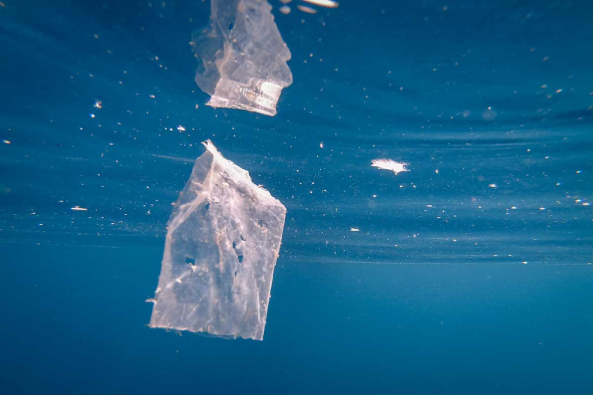 Ambiente, l’appello di Marevivo: “La tutela del mare torni al centro dell’agenda politica”