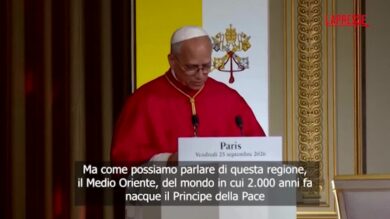 Papa Leone: "Le sofferenze della guerra feriscono la dignità umana, no all'indifferenza"