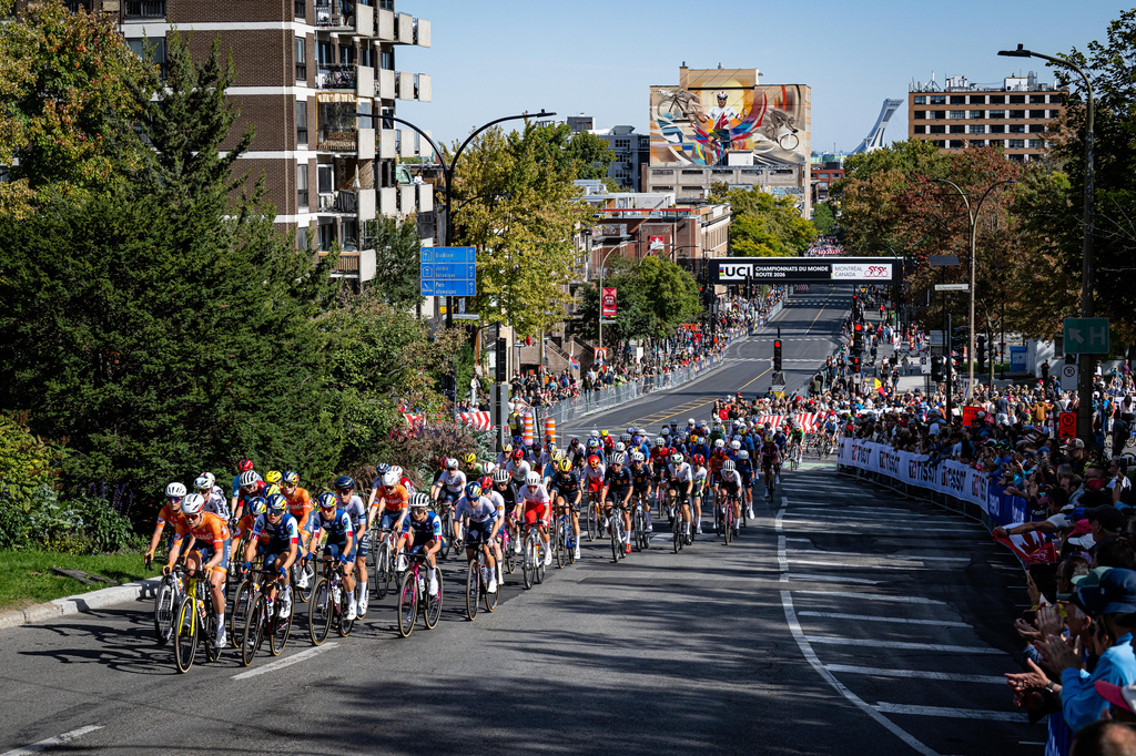 Mondiali ciclismo 2026, oggi la prova in linea maschile élite: orario e dove vederla in tv Mondiali ciclismo 2026, oggi la prova in linea maschile élite: orario e dove vederla in tv