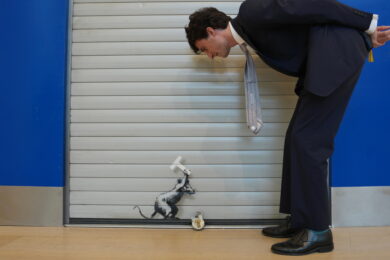 Banksy, l’installazione “Keep Ou T” va all’asta: le foto